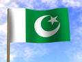 Pakistan flag